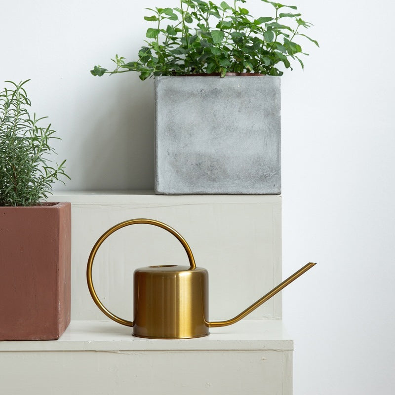 Stainless steel watering pot household watering pot