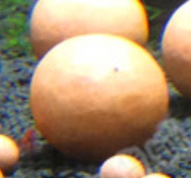 Aquarium Vitality Jade Mineral Ball Energy Ball Electric Ball Purify Water Quality