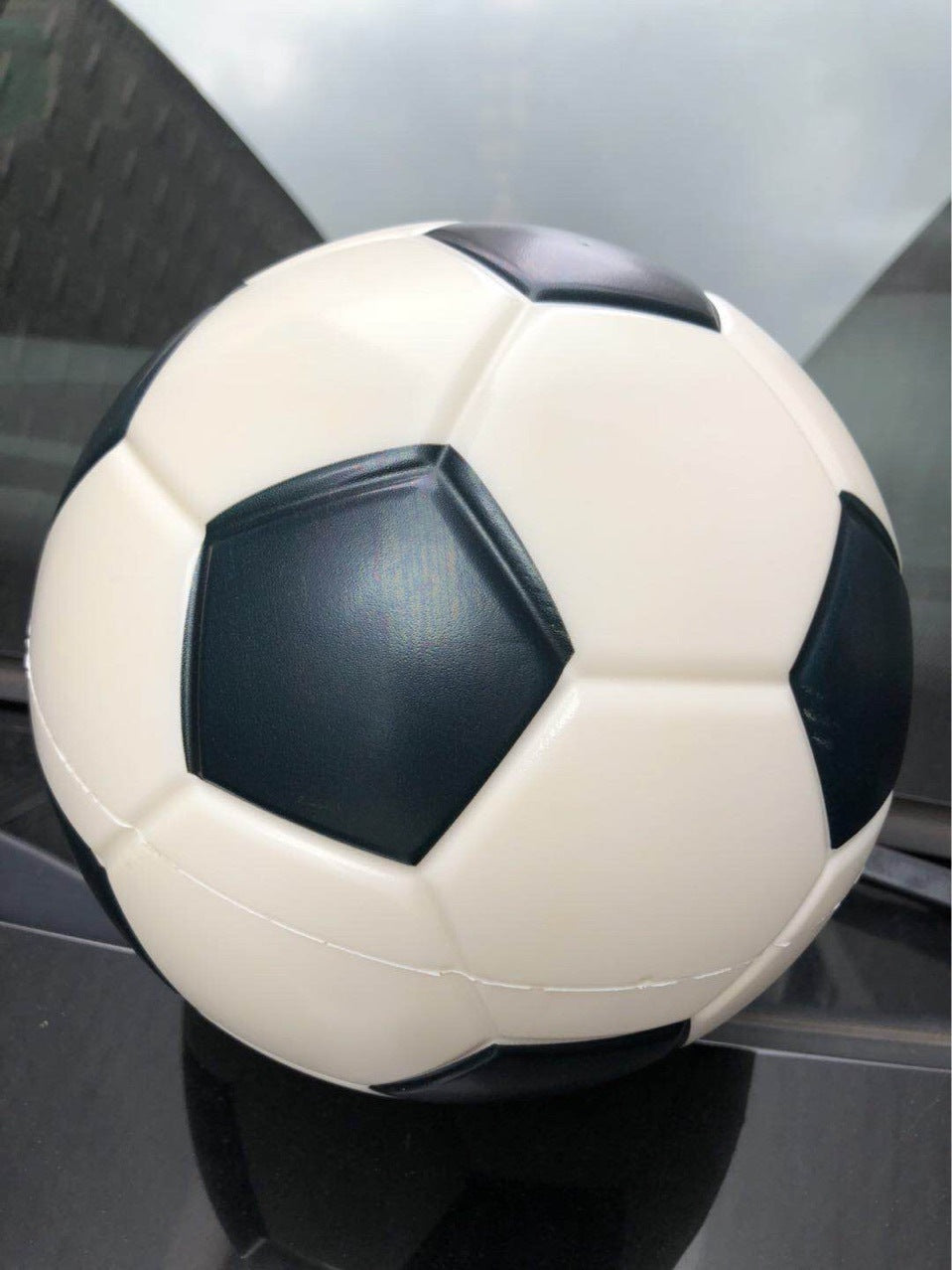 Children's Indoor Sports Toy Ball