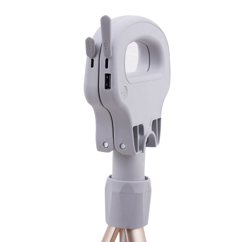 Multifunctional Crutches Aluminum Alloy Folding Leisure Trekking Pole